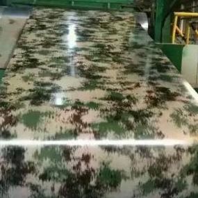PPGI色を800mm印刷する装飾CGCHはシートに塗った